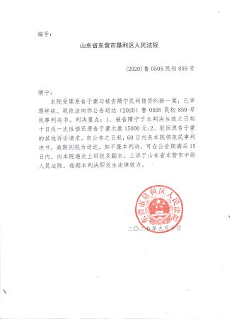 (2020)鲁0505民初859号—隋宁