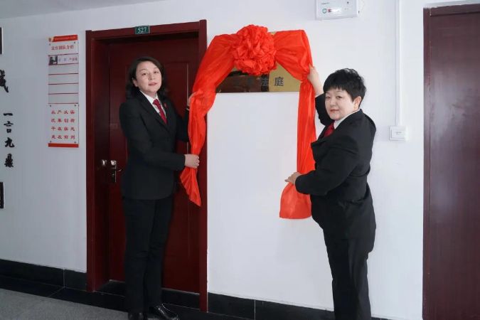 3.10 （1）德州经开区法院少年法庭正式揭牌