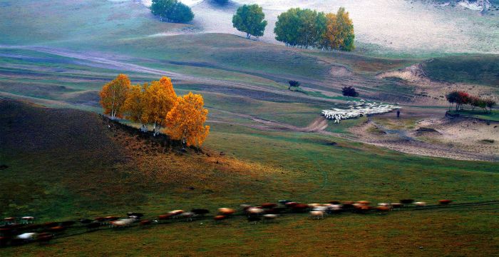 9c44f779-13c0-49bc-b8a8-637717d2ba8b