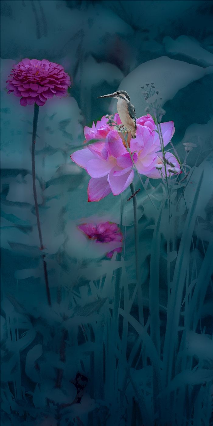 荷花四屏-03