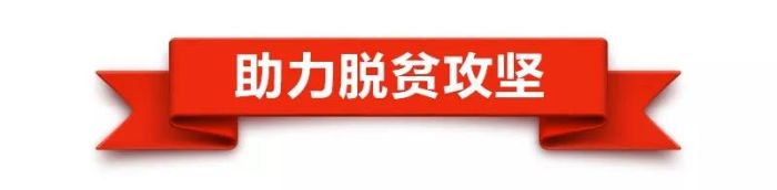 助力脱贫攻坚
