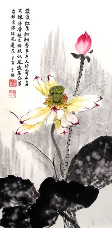 荷花韵DSC00196