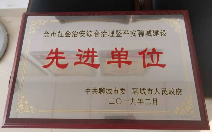 全市社会治安综合治理暨平安聊城建设先进单位