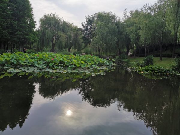 微信图片_20200714175446