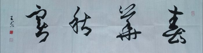 《春华秋实》作者：王戈