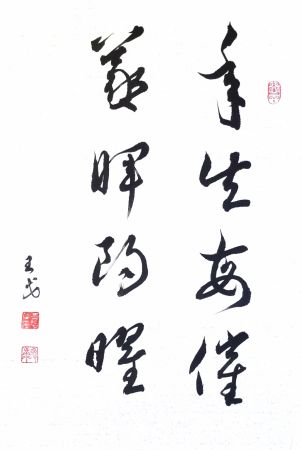 《年失每催，夕晖朗曜》作者：王戈