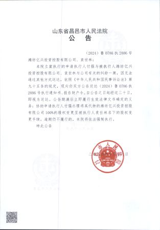 （2024）鲁0786执2886号公告