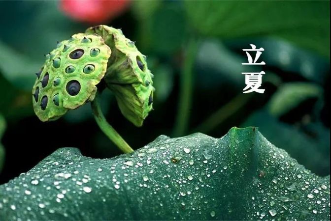 微信图片_20190505080815
