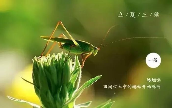 微信图片_20190505080818