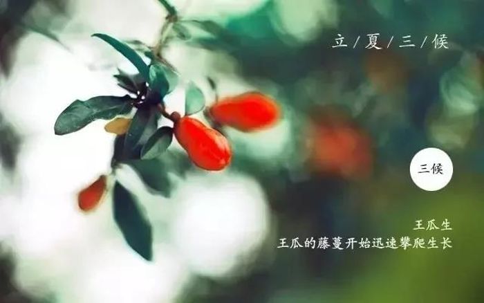 微信图片_20190505080825