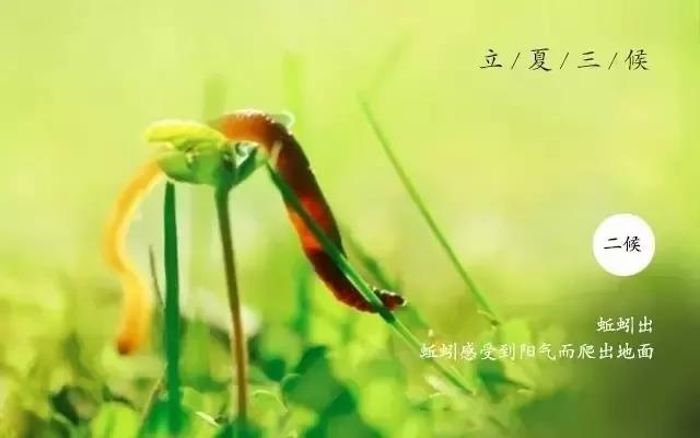 微信图片_20190505080822