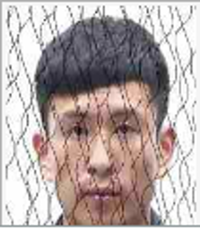 王琦