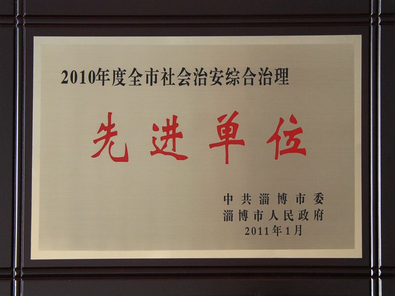 2010年度全市社会治安综合治理先进单位