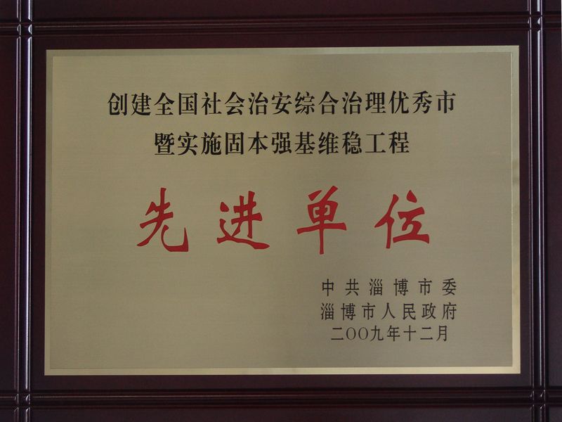 固本强基维稳工程先进单位