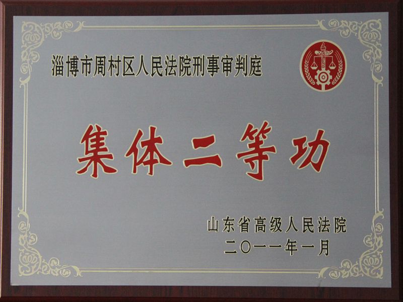 刑事审判庭集体二等功